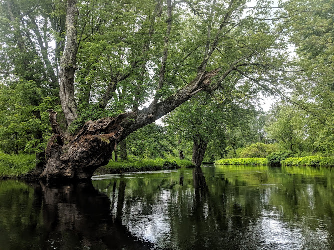 Waterboro Dentist, Wayne LaRiviere, DMD